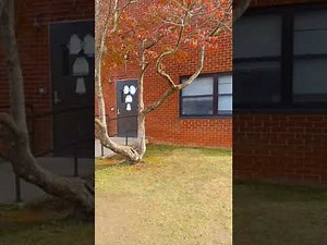 My first day in FORT DIX (Base) New Jersey, USA 🇺🇸 06 Sep 2021