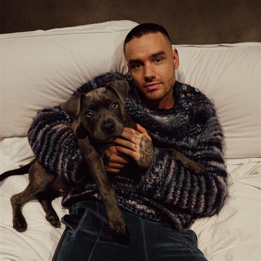 Obituary: Liam Payne, singer and former One Direction member, dies at 31