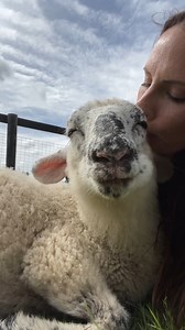 87K views · 26K reactions | Listening to hearts…❤️ In listening to...