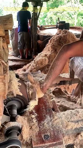 Grinding Wood to Dust: The Secret to Fine Woodworking