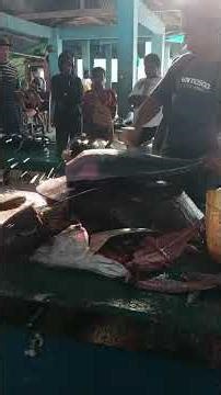 big tuna cut by bang iwan