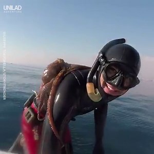 This diver was stuck in a sticky situation after this encounter! 😲🐙 | UNILAD Adventure