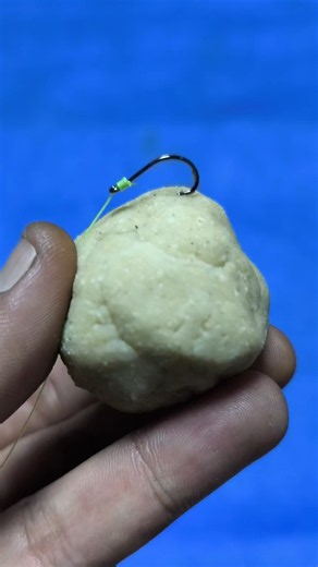 Tips for Attaching Fishing Bait