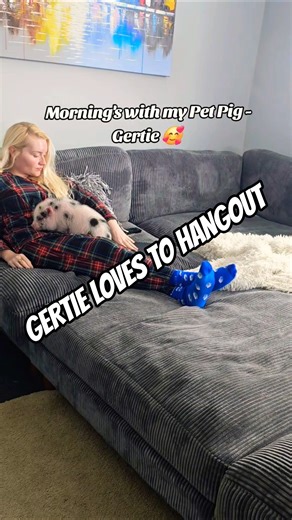 Pigs build strong bonds with their humans ❤️ #cutepigs #cuteanimals ##petinfluencer