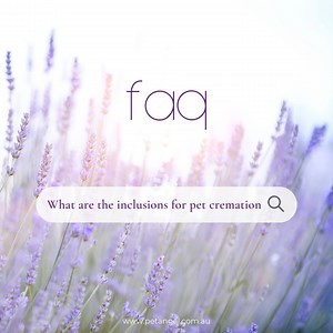 11 reactions | When it comes to honouring your beloved pet, every...