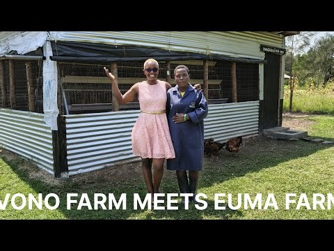 "FARMING DREAMS IN ACTION":My Trip To Euma Farm.