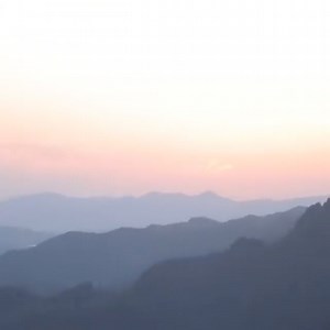 230K views · 7.9K reactions | Building a wooden fairy house alone in the forest. | VMPC Camping | Facebook