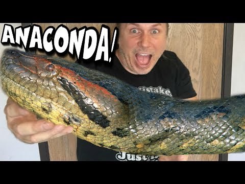 I FINALLY GOT AN ANACONDA!!! | BRIAN BARCZYK