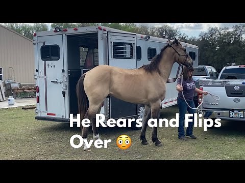 Problem Horse: He Flips Over