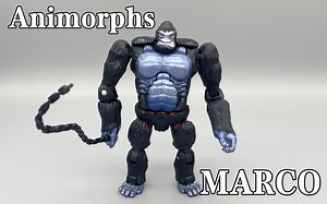 变形金刚Animorphs系列/动物变形人，猩猩形态的MARCO/马克