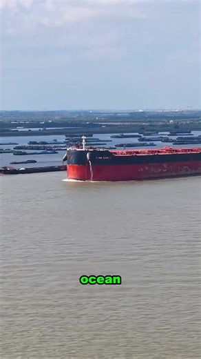 This Is the Absolute Limit of River Shipping.#MegaShip#BulkCarrier#EngineeringLimits#YangtzeRiver #usa🇺🇸
