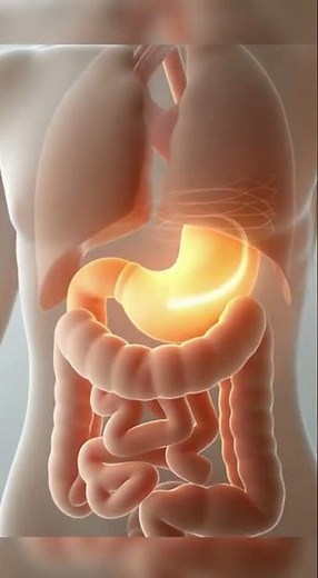 5 Benefits of Dried Papaya | Digestion, Immunity & Skin Health #wellnessforlife #healthydiet