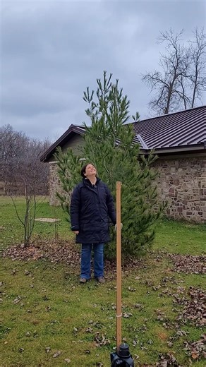 2.1M views · 55K reactions | Nerves are setting in while painting the...