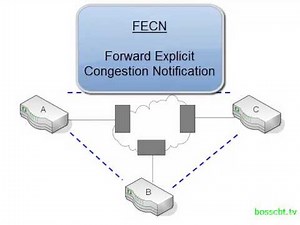 9. Frame Relay Congestion Control