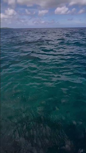 鳩間島 Hatomajima boat tour