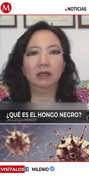 ¿Qué es el hongo negro y cómo prevenirlo?