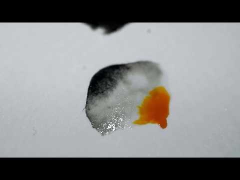 Alain Chamfort - Le Désordre Des Choses