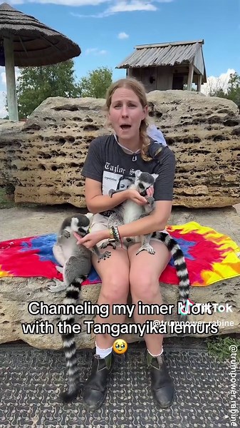 Funny Lemurs: Hilarious Animal Moments