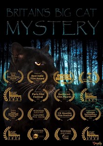 Where to stream Britain's Big Cat Mystery (2021) online? Comparing 50  Streaming Services