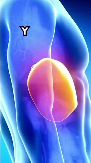 What Happens When You Quit Drinking Alcohol