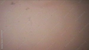 Old 8mm Static Film (1968 Vintage 8mm film)