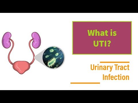 Urinary Tract Infection (UTI) - Symptoms, Causes, Investigations and Treatment (Animation)