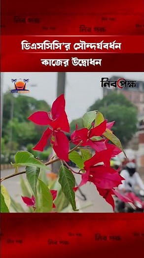 ডিএসসিসি’র সৌন্দর্যবর্ধন কাজের উদ্বোধন | Dhaka South City Corporation Update | DSCC