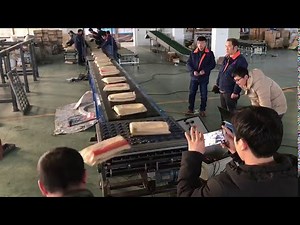 BX Wheel sorter---speed 8000 parcel/hour