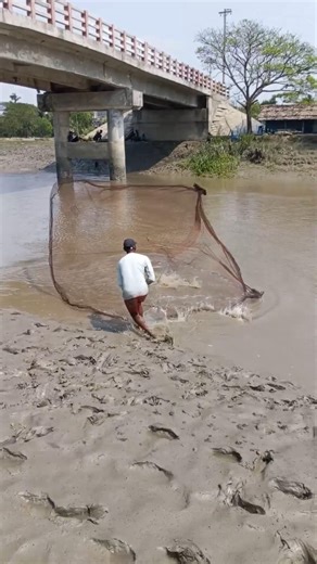 village river net fishing #wow viral video