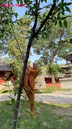 62K views · 545 reactions | This is how warrior monks train at the Shaolin Temple in Henan Province. They can break bricks with their bare hands, execute upside-down flying kicks, and engage in Shaolin stick fighting. #FunChina #Heritage | China Plus Culture | Facebook