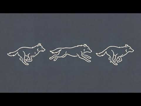 Tula Wolf & The Niiji's - Running.