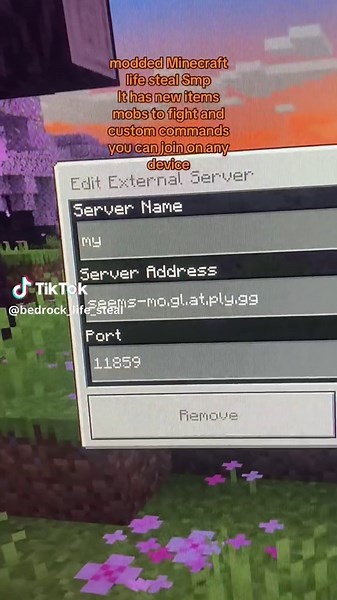 Minecraft bedrock life steal on TikTok