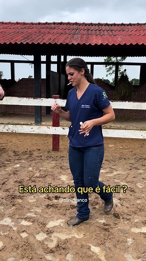 Como se reproduz o cavalo - Desafio da reprodução animal