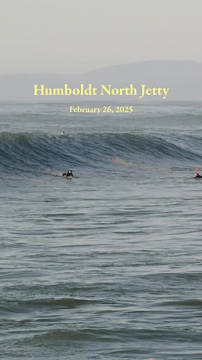 Explore Surfing Adventures on the Lost Coast