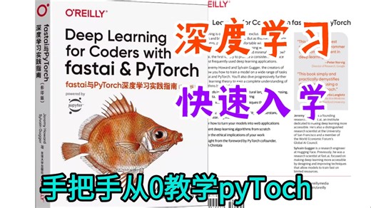 想快速入门深度学习？这一个视频就够