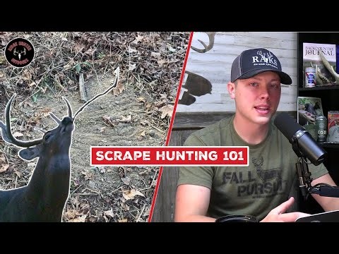 Scrape Hunting Crash Course | Deer Season Daily 10/17/25