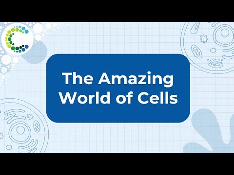 The Amazing World of Cells