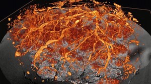 14K views · 69 reactions | The placenta is arguably one of the most...