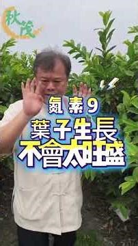 【秋茂有機化學複合肥料】933戰力久有沒有肥分？大師解惑【農資聯合大賣場|農業肥料有機肥|無毒免登殺菌殺蟲農藥|土壤連作酸化鹽害改良|農業大師】