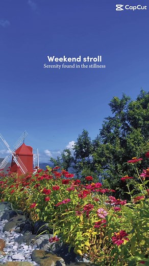 #weekendvibes #saturdaymorning #NuevaEcija #routine #walking #relaxing #windmill #instagrammableplaces | George Point