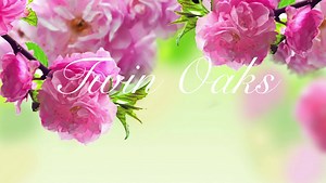 1.1K views · 22 reactions | It's Spring!! | Twin Oaks | Facebook