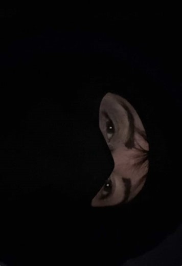 Have fun watching thissssssss😛😛😛#maskedman #girlfriend #xyzbca #blowthisup