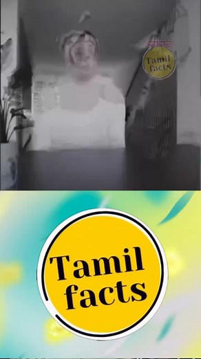 91K views · 3.9K reactions | Facts in Tamil Reels 156 FB @Tamilfactss Insta @Tamilfactss_ #tamilmeme #tamilnews #tamilvideo #tamil #tamilstatus #taamilan #kollywood #tamilmemes #love #tamilnadu #tamilcomedy #tamilmovies #trending #bgm #kerala #malayalam #india #chennai #bangalore #tamilnews #tamilfactss #fact #facts #interesting #tamilfactss | Tamil Facts | Facebook