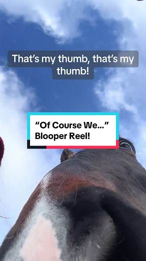 We’re Horses with Hope, of course we made a blooper reel! #equinerescue #horserescue #horseswithhopemaine #horseswithhope #rescuehorse #rescuehorses #fyp #trending #horsetraining #horsetok #horsefarmtiktok #horses #minihorse #miniaturehorse #farmtok #ofcourse #ofcoursetrend
