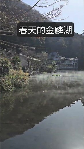 九州必訪！金鱗湖畔的春日早晨 #travel #九州観光