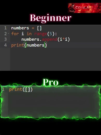 Beginner vs Pro Python