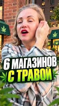 6 Weed Shops in Canada 🇨🇦