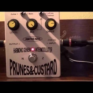 Prunes and Custard Bass Demo - YouTube