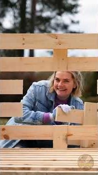 🐾🛠️ DIY Projects Your Pet Will Absolutely LOVE