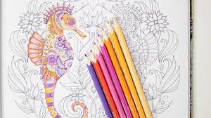 122K views · 4.9K reactions | Tutorial! How to colour a Lost Ocean Seahorse in colouring pencil. I've used Staedtler ergo soft pencils in this video. A little bit of blending and shading :) | Johanna Basford | Facebook